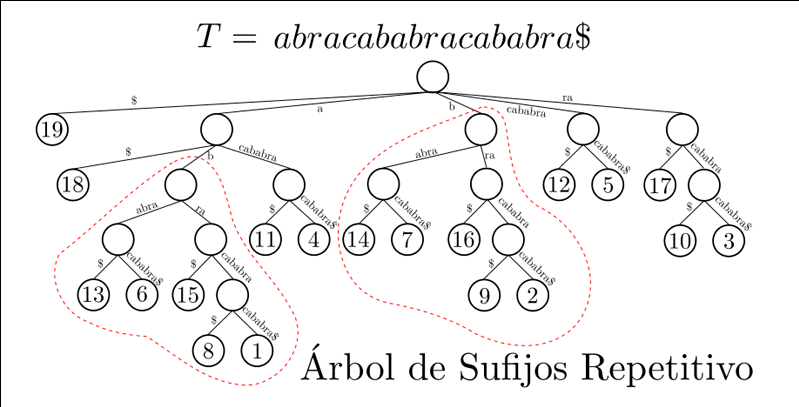 Figura representativa de la Investigación de Manuel Cáceres (un árbol de sufijos repetitivo)